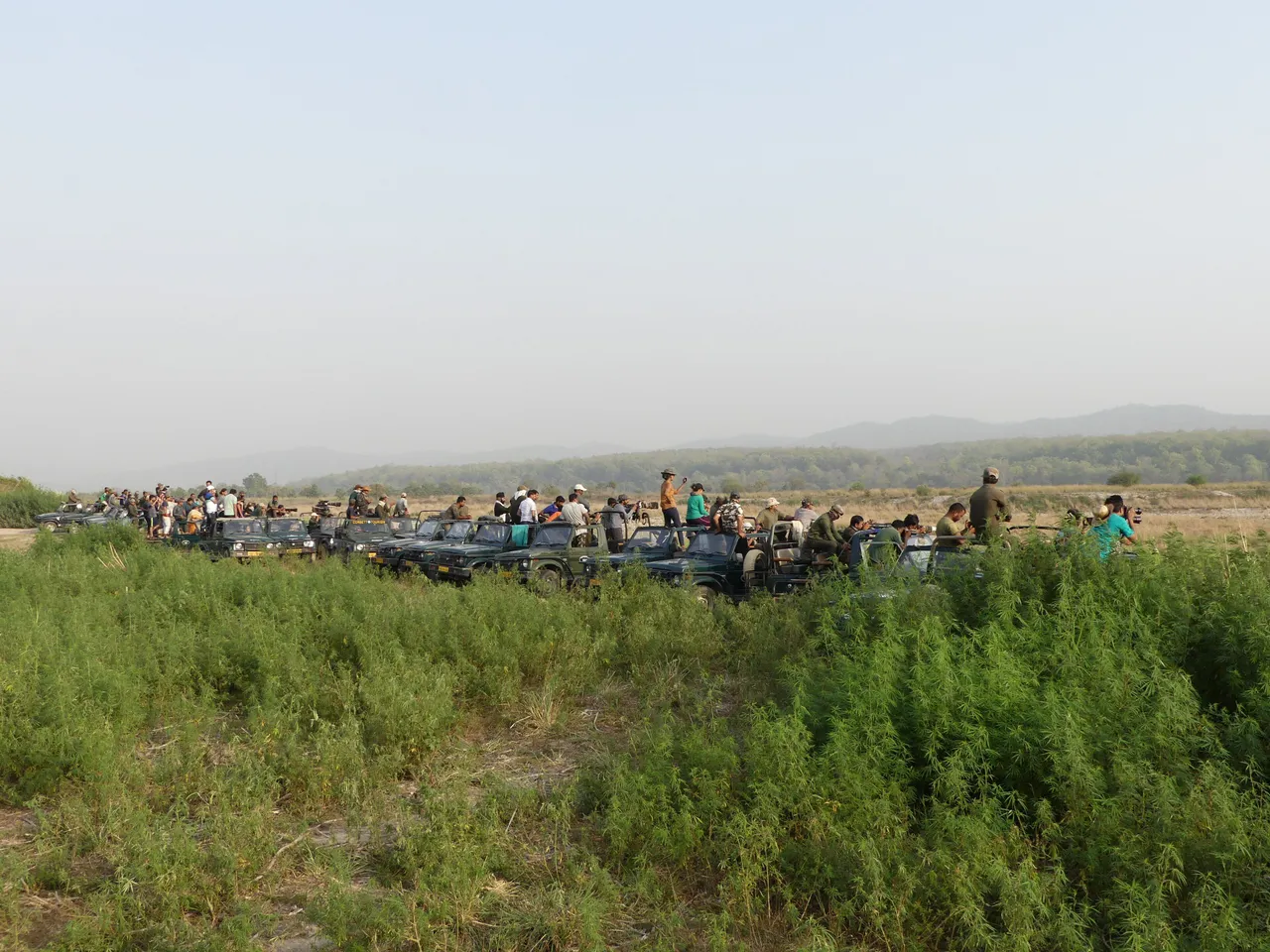 Guests watching game from the vehicle