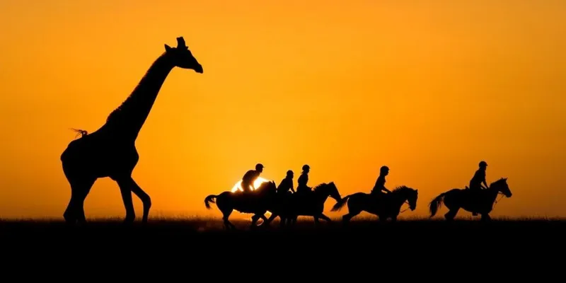 A striking silhouette of a giraffe walking alongside horse riders against a vibrant golden-orange sunset sky