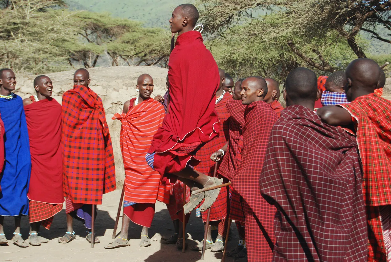 The adumu, the Maasai jumping dance