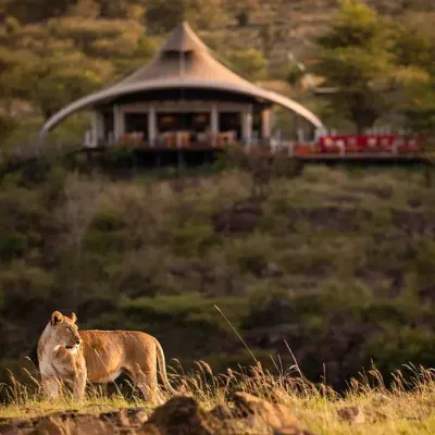 A charming safari lodge overlooks the surrounding wilderness, offering a peaceful retreat in the heart of nature.