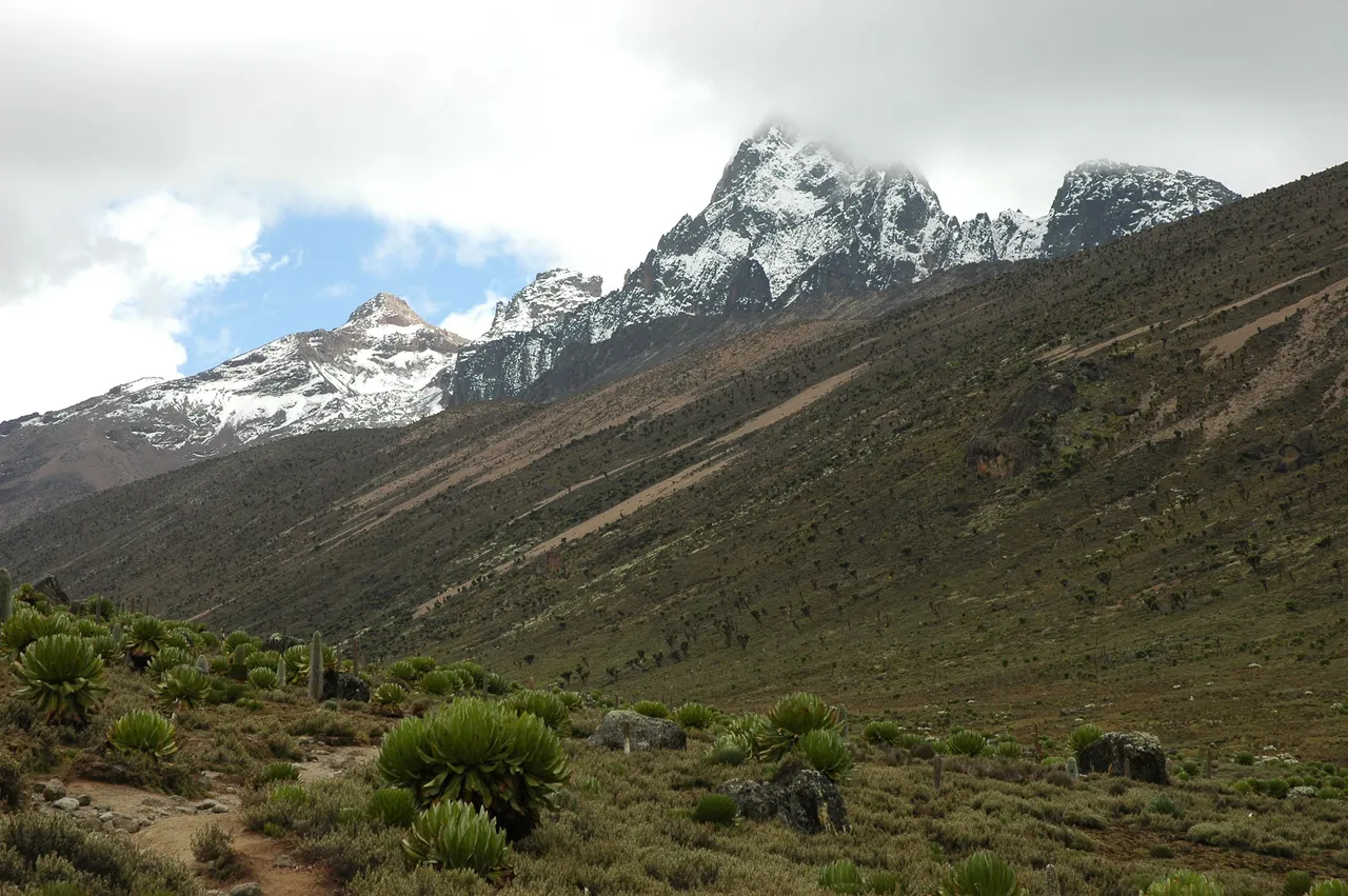 The peaks of Mount Kenya above the moorland